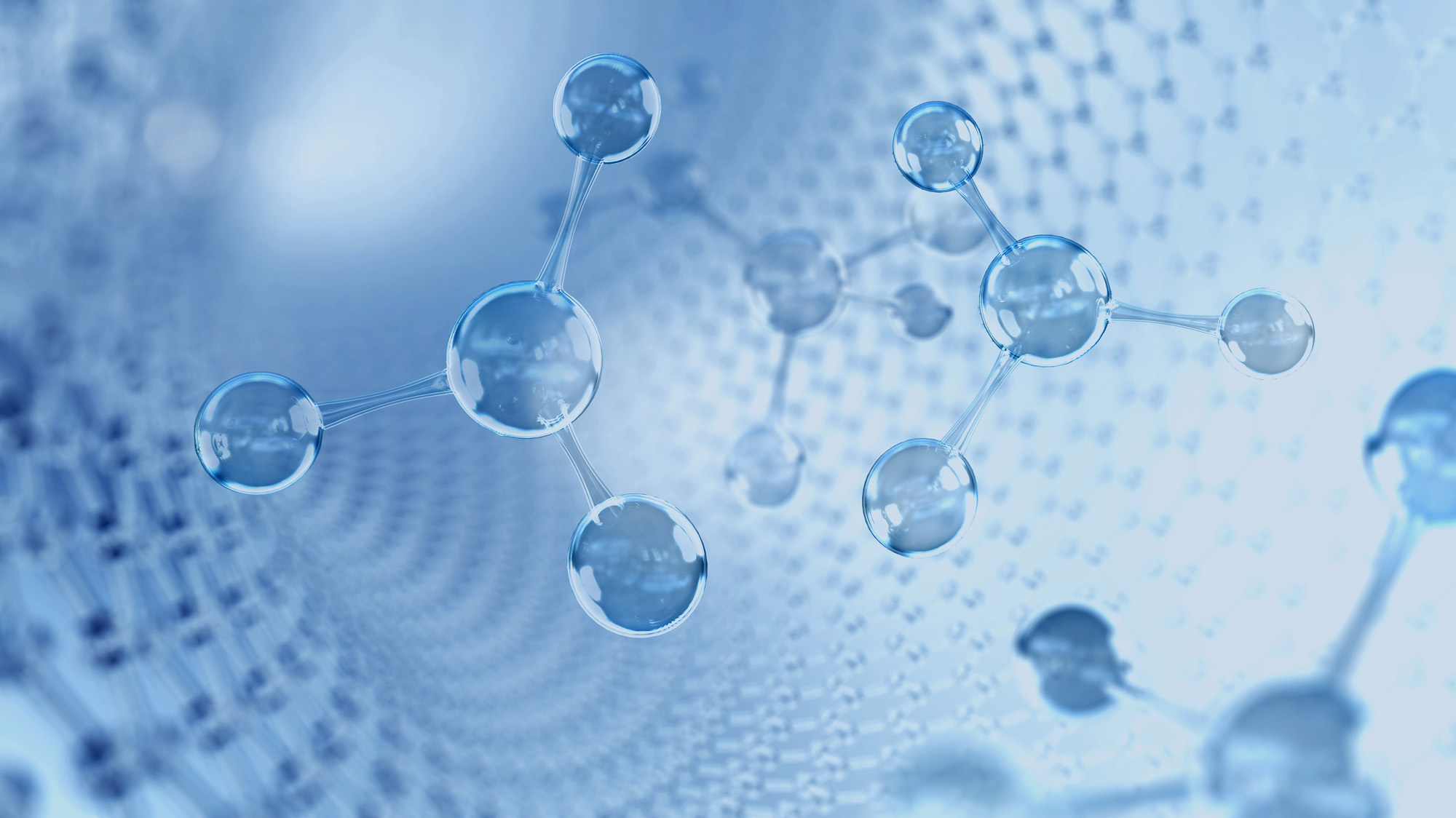 世界の人々の地球の未来の為に